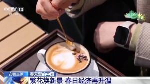 梯田美景-各地花海美景激活春日经济