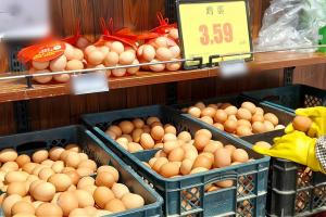 鸡蛋价格为何不降反升 饲料成本上涨推高蛋价