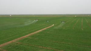 春耕一线扫描:精准施策 向新提质