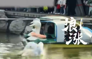 杂技演员失误掉入湖中上岸后鞠躬致歉