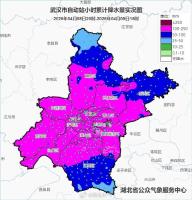 武汉大暴雨破纪录 刷新历史最早大暴雨纪录