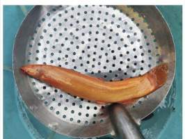 松花江流域发现稀有黄金泥鳅 百万分之一的奇迹