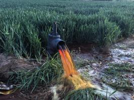 保定通报灌溉井水呈红色 染料污染水源