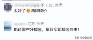 榴莲价格大降 市场供应充足引发抢购热潮