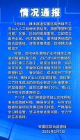 陕西延安通报一山上大批树苗枯死 官方回应引关注