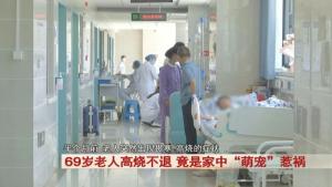 69岁老人高烧不退，竟是家中“萌宠”惹祸！