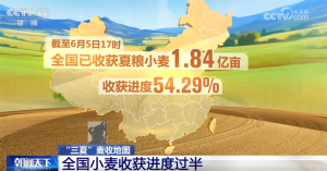 多地抢收、烘干齐发力守护群众“粮袋子”