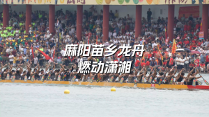 看麻阳苗乡龙舟燃动潇湘 逆流竞渡展风采