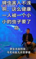 56岁男子被“草爬子”咬伤 住院抢救一周后离世