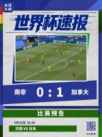 加拿大1比0南非挺进16强 队史首次晋级