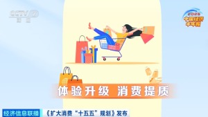 5个关键词！一文读懂中国经济半年报 体验升级消费提质引领增长