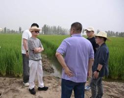 马云赴西北调研沙漠农业与水资源利用 探索治沙兴农新路径