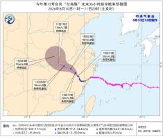 白海豚突然大拐弯 台风路径罕见变化