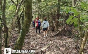 女子误入密林救援队救援 86分钟生死营救
