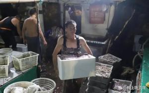 浙江台州“第一网”海鲜回来了 产量减少价格攀升