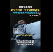 为何拒不下车，中国警察反复劝导，美国警察却直接破窗？