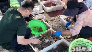 开海第二日红岛渔港鲜货持续热销 市民游客抢购热情高涨
