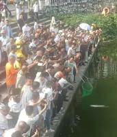 七旬大爷钓到50多斤大鱼遛鱼4小时 上百人围观壮观场面