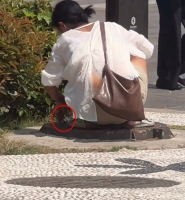 女子向西安一步行街雨水井塞不明物 行为异常引关注