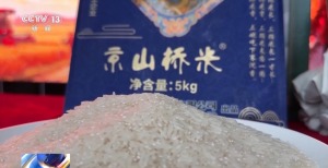 解码农业“育种芯片” 科技创新改变农业生产