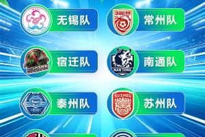 “苏超”八强出炉 南京队遗憾落榜