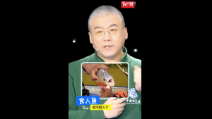 大多数食人鱼并不是凶猛杀手，别被传说骗了！