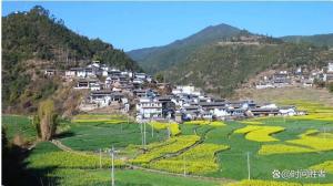 母亲赶到家时两兄妹已被胡蜂蜇亡 山村留守儿童悲剧引发关注