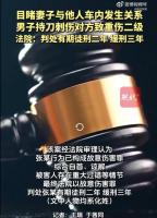 男子目睹妻子车内出轨刺人致重伤，法院宣判 情绪失控酿悲剧