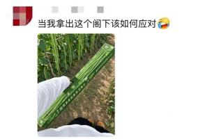 超长蛋挞没下手1米钙奶饼干我真买 青岛人的童年回忆