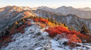 太白山惊现一山二季 秋雪同框奇观