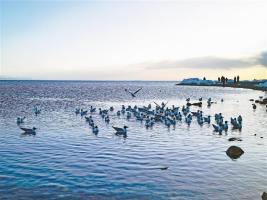 深化文旅融合 发展全域旅游