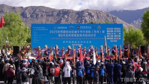 过端午 赛龙舟｜西藏又新增一项世界纪录