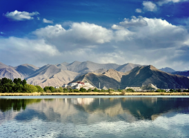 “拉萨之肺”焕新记：拉鲁湿地三十年治理背后的突围之路