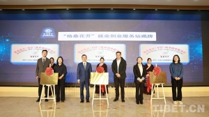 西藏墨竹工卡县启动“格桑花开就业创业”品牌提升计划