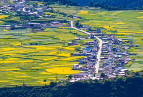 西藏首家民政服务总站在措美县揭牌