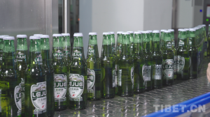 西藏桑旦岗青稞酒业：“糊口粮”变“致富粮”