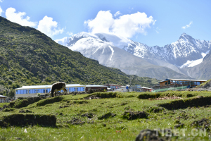 西藏八宿然乌镇：旅游主线带动产业协调发展