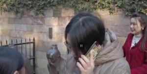 杭州岳庙秦桧像被砸烂9次 这个雕像已经跪了500多年 还挂着“禁止吐痰”的提示