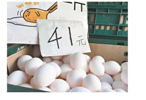 台湾多家超市开卖进口鸡蛋 台湾民众排队抢蛋！
