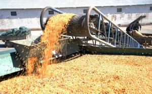 8月份开始玉米、大豆“两涨一跌”，2个好消息、1个坏消息！