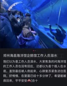 郑州潜水员溺亡，涉事海洋馆发布情况说明