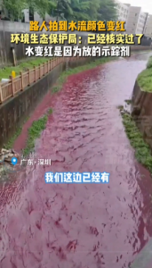 广东一河流变色呈血红色 官方回应！