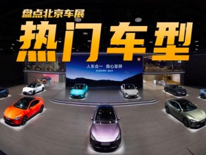 盘点北京车展最火的五个展台，排队20分钟才能进？