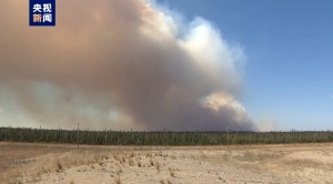 加拿大石油重镇野火已失控 居民紧急疏散