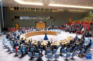 联合国安理会通过加沙决议呼吁停火 国际社会盼和平