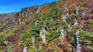 韩国汉拿山植物枯萎 泡面或是元凶 泡面文化引生态忧患