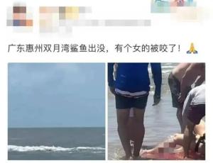 惠州双月湾有鲨鱼咬人？假的 官方辟谣，警惕离岸流！