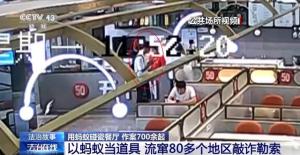 男子吃饭自带蚂蚁碰瓷餐厅700次 警方揭露跨区诈骗链