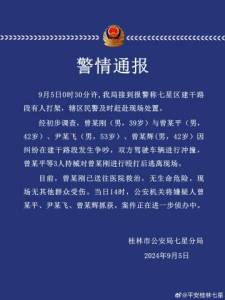 广西桂林街头3人持械打人致1人受伤 警方通报详情