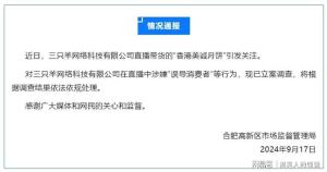 王海回应三只羊涉误导消费者 网红带货诚信何在？